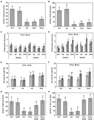 Induced Resistance by Ascorbate Oxidation Involves Potentiating of the Phenylpropanoid Pathway and Improved Rice Tolerance to Parasitic Nematodes